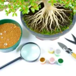 Bonsai Nutrition: Essential Elements and Micronutrients