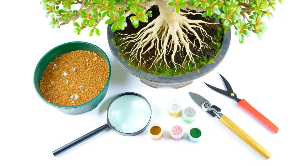 optimal nutrition for bonsai